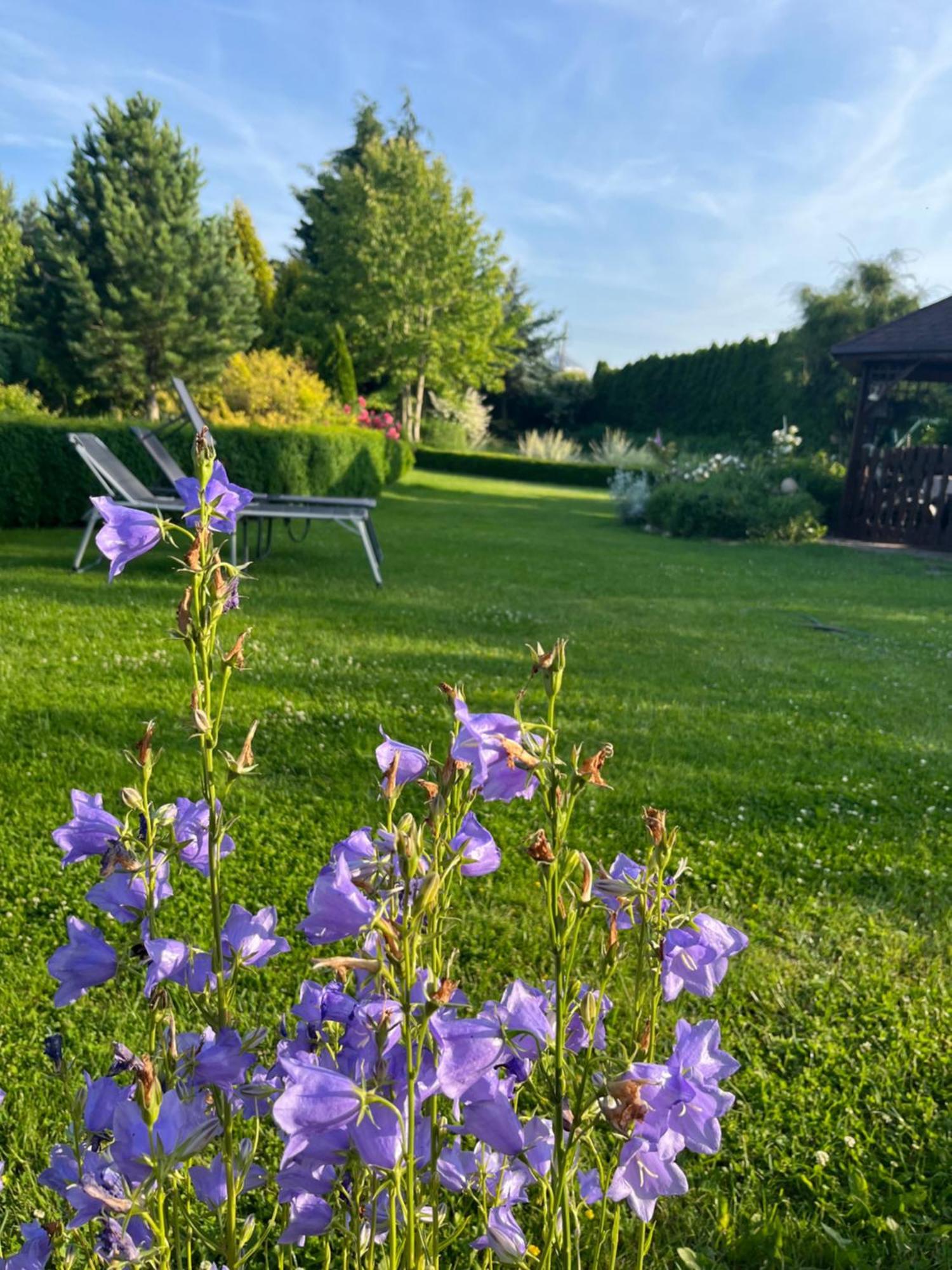 Smulsko Casa vacanze *